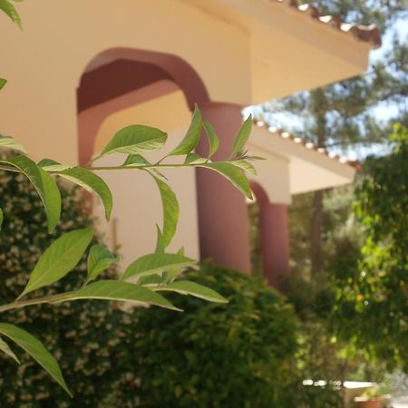 Kefallonia Bay Resort سبارتيا المظهر الخارجي الصورة