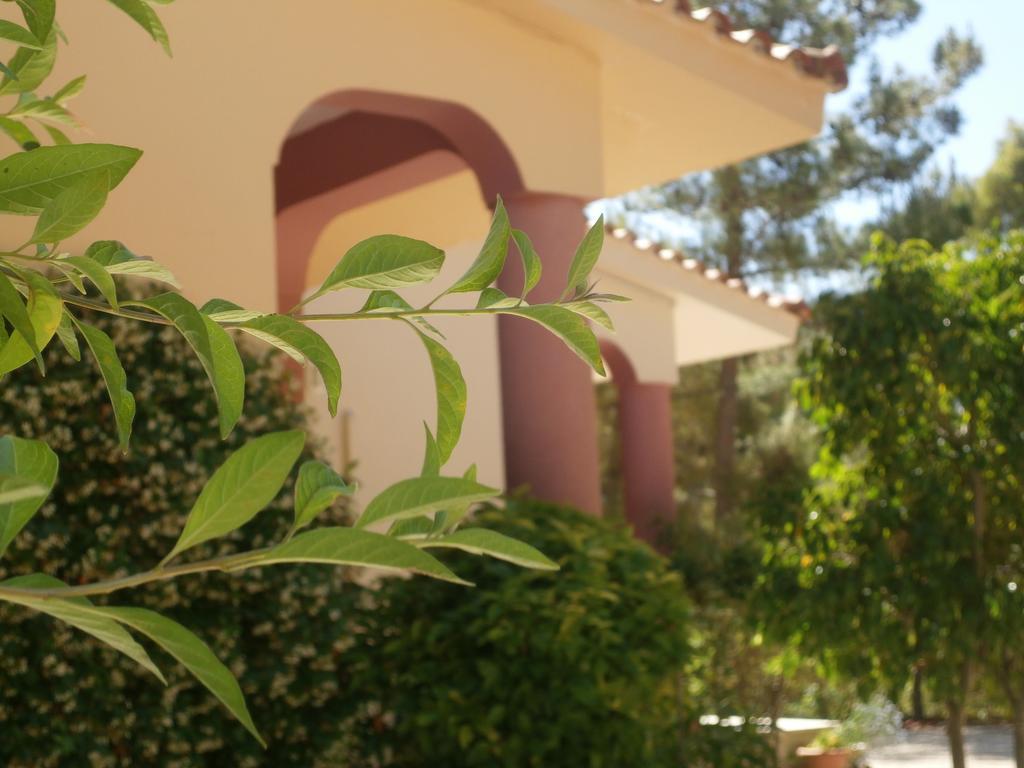 Kefallonia Bay Resort سبارتيا المظهر الخارجي الصورة